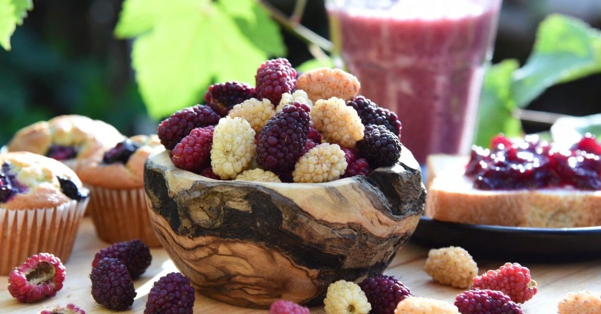 15+ Delicious Mulberry Recipes You’ll Love This Summer